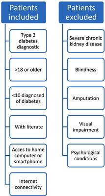 Usability evaluation of the educational website “understanding my diabetes” for Mexican patients with type 2 diabetes